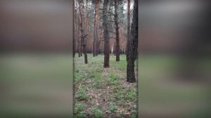 СДАВАЙСЯ, ХОХОЛ! ТУТ АХМАТ - СИЛА!