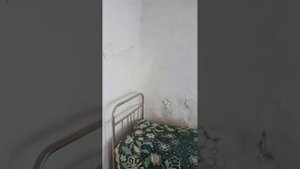 Продается дом в д. Большое Шумаков о