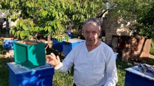 ПАСЕКА.ПЧЕЛОВОДСТВО. Пришло время ставить вощину.