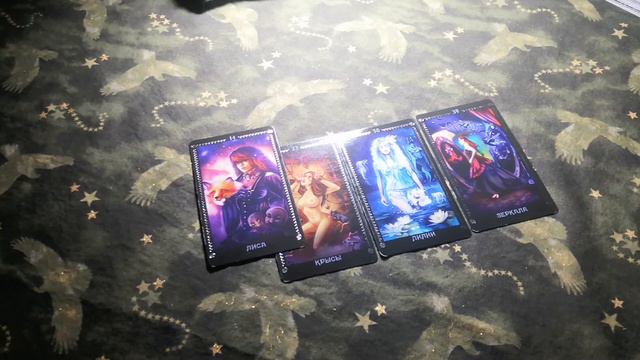 папорт биометр..что он несет народу ?таро-онлайн смотреть онлайн