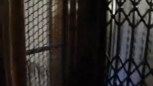 Красивый старинный лифт в Буэнос-Айресе