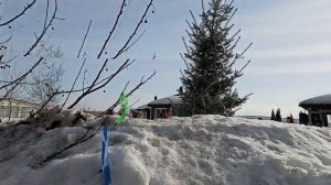 Масленица  Проводы зимы/ Авторская песня/Исполняют авторы Светлана и Иван Авдеевы