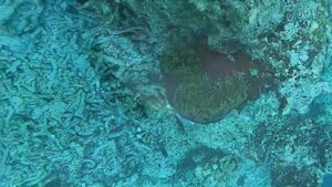 Mandhoo Island Maldives