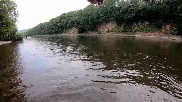 Горбуша. Сезон 2019 смотреть онлайн