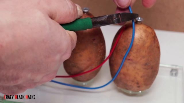 Лампочки на свободной энергии - 220 В с использованием картофеля смотреть онлайн