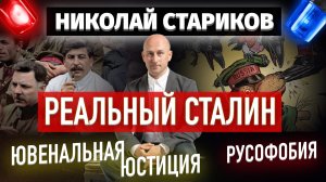 Реальный Сталин, ювенальная юстиция и русофобия (Николай Стариков)