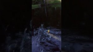 Щучки начала реки Подюга