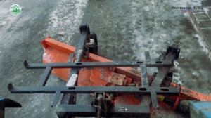 27.11.2023. «Служба чистоты и порядка». День.