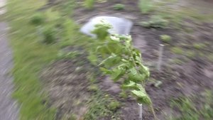 ?УСТАНОВКА И ?ОФОРМЛЕНИЕ декоративного ПЛАСТИКОВОГО ПРУДА своими РУКАМИ ?DECORATIVE POND