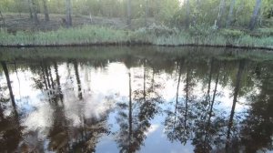 КРАСОТА ТАЁЖНОЙ РЕЧКИ РАДОВАЛА НАС, НА РЫБАЛКЕ МЫ ЛОВИЛИ И ОТПУСКАЛИ, НАМ СТОЛЬКО РЫБЫ НЕ НАДО)))!