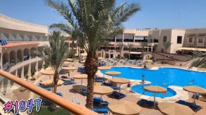 Pickalbatros Royal Albatros Moderna Sharm "Aqua Park" 5* Hotel Overview | sharm el sheikh | 4K