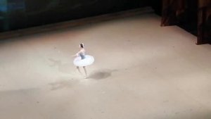 Елизавета Кокорева, Тщетная предосторожность