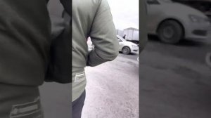 Цены на тюльпаны на Агромоле от 30 рублей