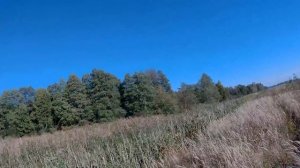 Охота на утку нагоном. Огромные утиные стаи с маленьких озер.