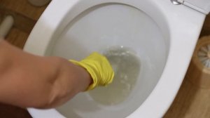 ЗАЛИЛ и СМЫЛ, даже ТЕРЕТЬ НЕ ПРИШЛОСЬ! Очистить УНИТАЗ от ИЗВЕСТКОВОГО НАЛЕТА и МОЧЕВОГО КАМНЯ