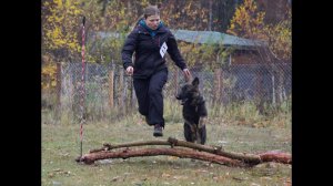 29.10.2022 г. соревнования "Военизированная полоса препятствий"/ НО Мускат