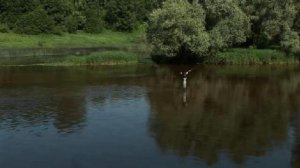 Нахлыстовой заброс на длинные дистанции