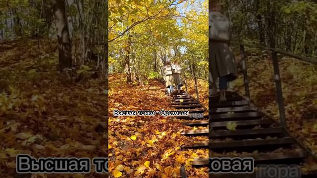 Питер! Сюда обязан съездить каждый! #петербург #питер #кудасходитьвпитере #спб #чтопосмотретьвпитер