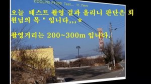 NIKON  쿨픽스 P1000 ,실사용기, 야생조류 촬영,24~3000mm카메라 TEST3