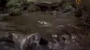 Христофор Колумб 2 часть