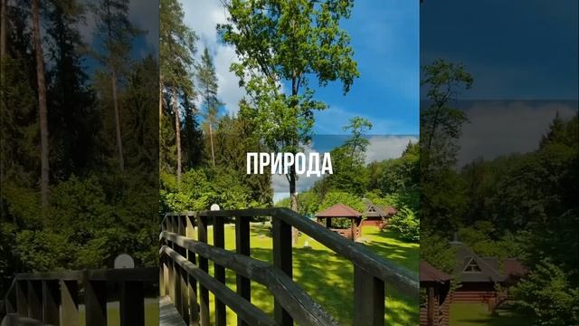 Детский лагерь в Силичах? LeSki Silichy Camp ? Трансфер из Минска туда и обратно❤️