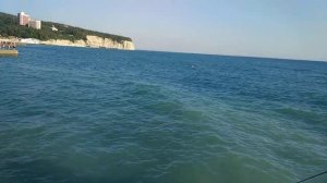 Дельфины в Дивноморском. 2018 год.