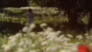 Яак Йоала - Песня о моей любви