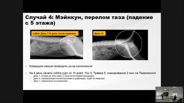 Персональная физиотерапевтическая технология для регенерации и восстановления животных - coMra
