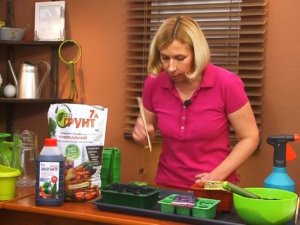 Дачные сезоны 11 марта 2017 года