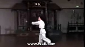 Чжань ма дао (9).flv