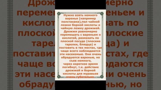Как избавится от Домашних Муравьев !