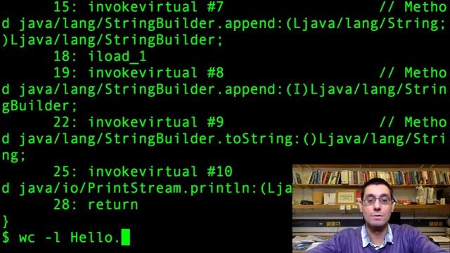 An example Java program execution смотреть онлайн