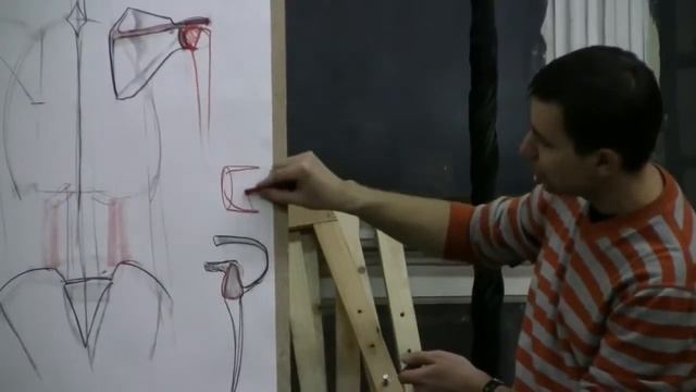 Мастер класс по анатомии 02 0001 смотреть онлайн