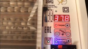 Инкубатор Блиц Норма Луппер, всё работает отлично. Краткий обзор. Мои перепела. Дачная Жизнь ТВ.
