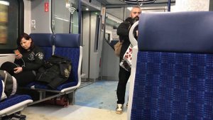 Гармошка в электричке