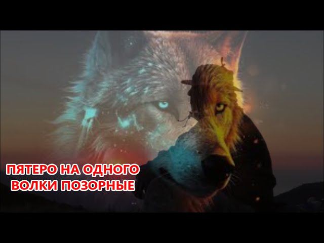 ВОЛКИ ПОД ГИПНОЗОМ . RikaNV HYPNOSE 350 D в деле. смотреть онлайн