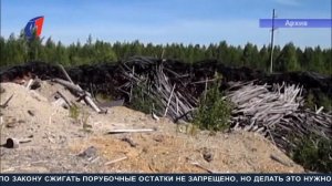 Береги лес от пожара. ТК «Первый Советский»