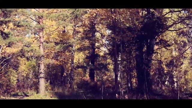 Pajero 4, УАЗ Патриот АКПП, Duster по легкому бездорожью смотреть онлайн