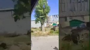 Северодонецк. Июнь 2022.Разрушенный Ледовый Дворец.