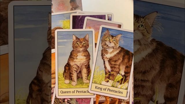 Таро.Для мужчин.Бизнес,карьера, работа.Как прийти к успеху💰🏆 Музыка:Lofi Study Музыкант:FASSounds смотреть онлайн