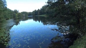 Рыбалка на микроджиг,джиг,воблер,в Люблино и Кузьминках