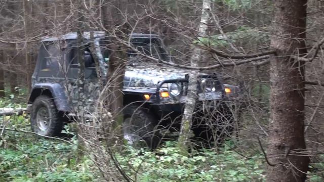 Лесничий будет не доволен... (часть 2) смотреть онлайн