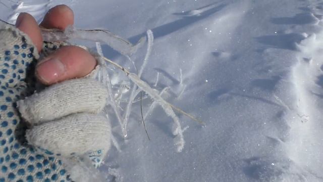 Село Печищи,на берегу Волги. смотреть онлайн