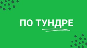 По тундре I Эля Янбухтина