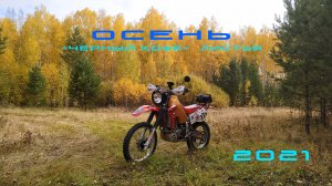 Осень 2021 (Черный кофе - Листья)