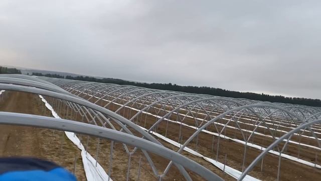 Монтаж теплиц /Hugh Lowe farm/Работа в Англии #работа #работаванглии #работавнорвегии #concordia