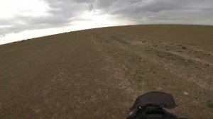 Корабли пустыни по дороге домой