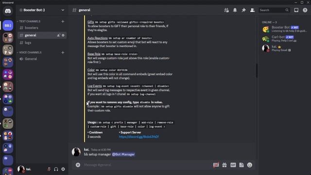 Booster Bot Tutorial - Setting up the bot смотреть онлайн