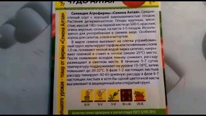 Высокоурожайный томат для сибирских регионов. Универсальный сорт - Чудо Алтая!!