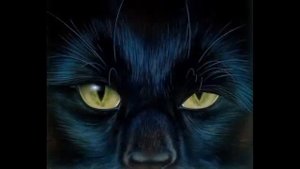 Булат Окуджава Песенка про черного кота